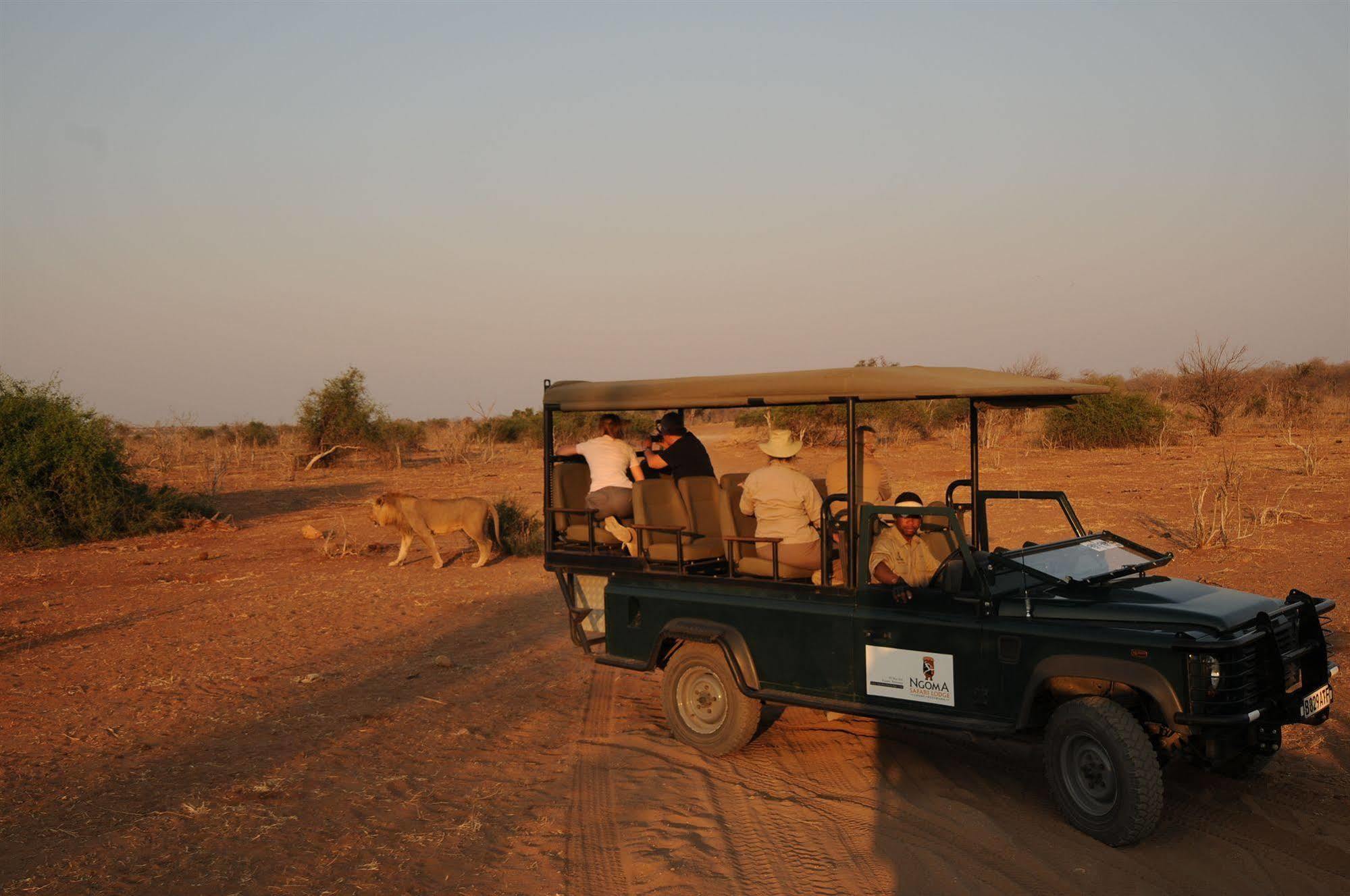 Kavimba Ngoma Safari Lodge מראה חיצוני תמונה