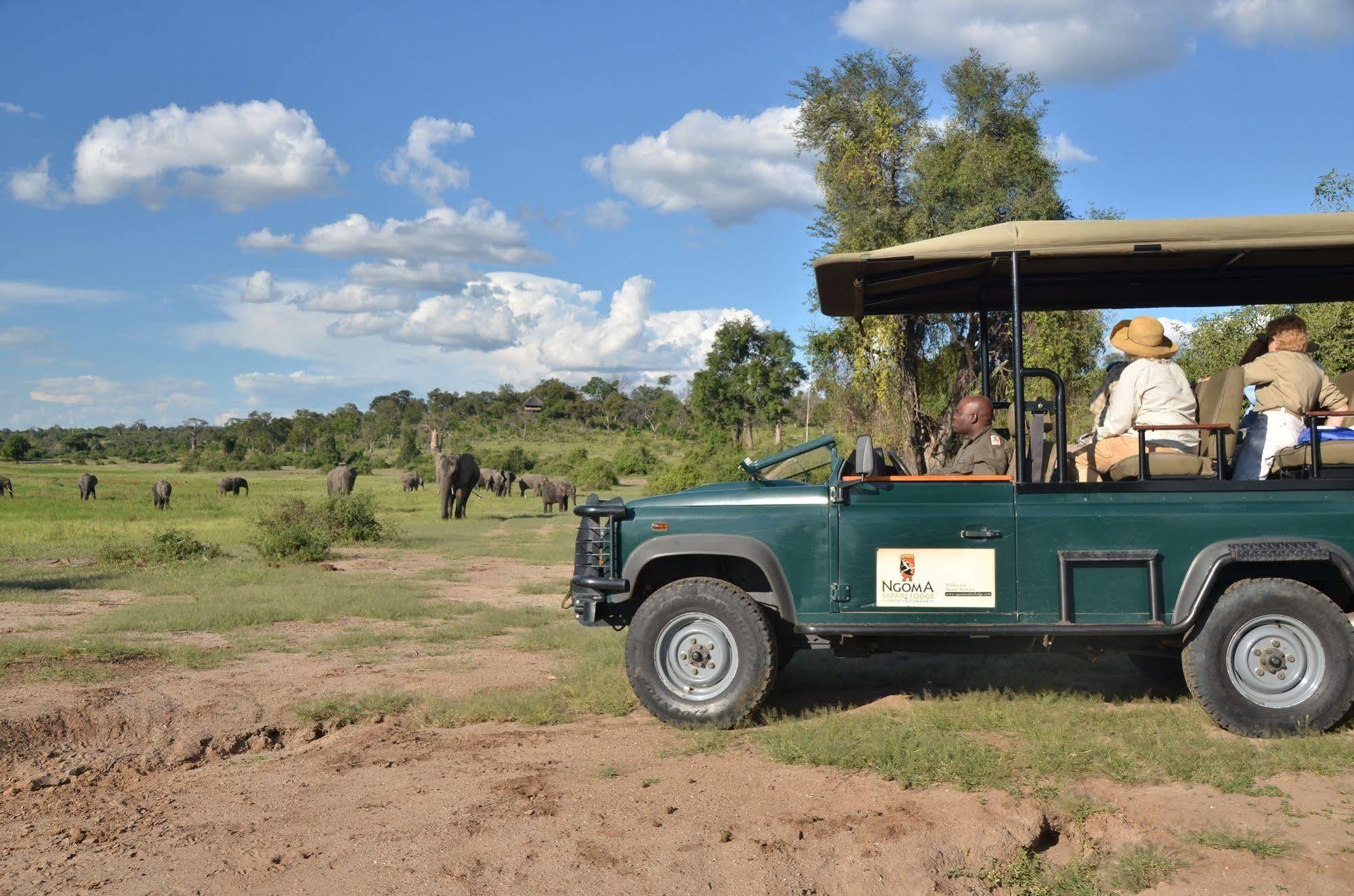 Kavimba Ngoma Safari Lodge מראה חיצוני תמונה